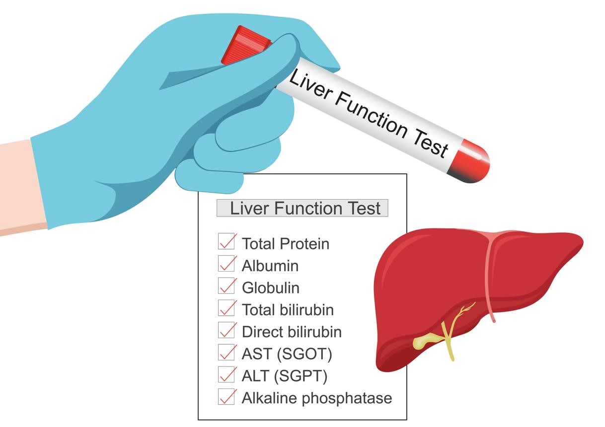 Can Diabetes Affect the Liver?