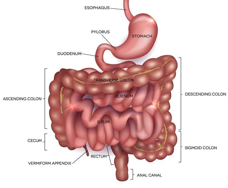 Can Diabetes Cause Stomach Pain?