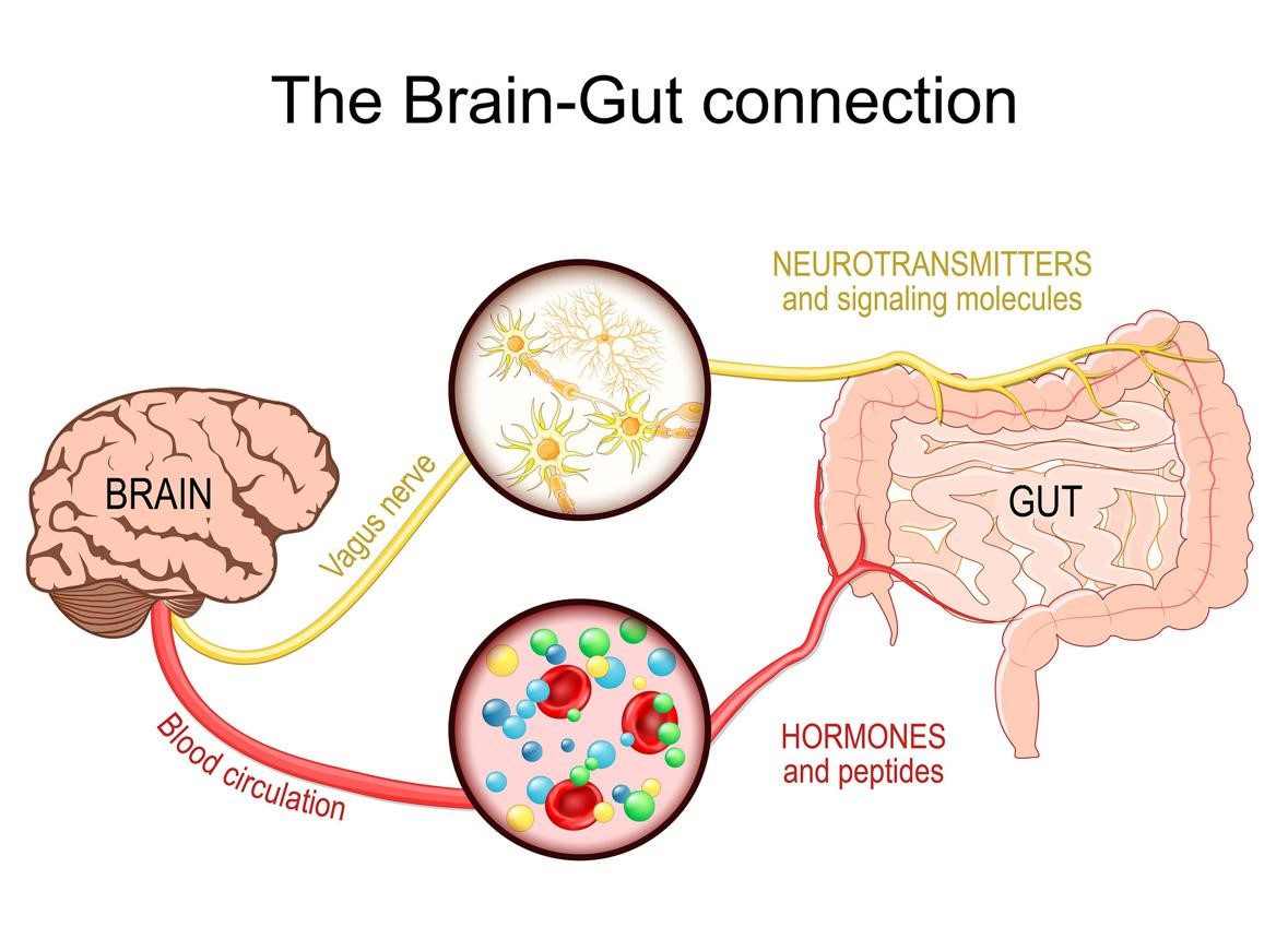Diabetes and Gut Health: The Hidden Connection