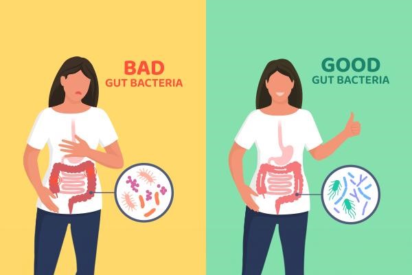 Diabetes and Gut Health: The Hidden Connection