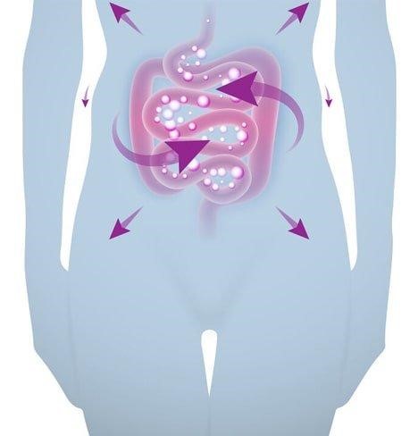 Diabetes and Gut Health: The Hidden Connection