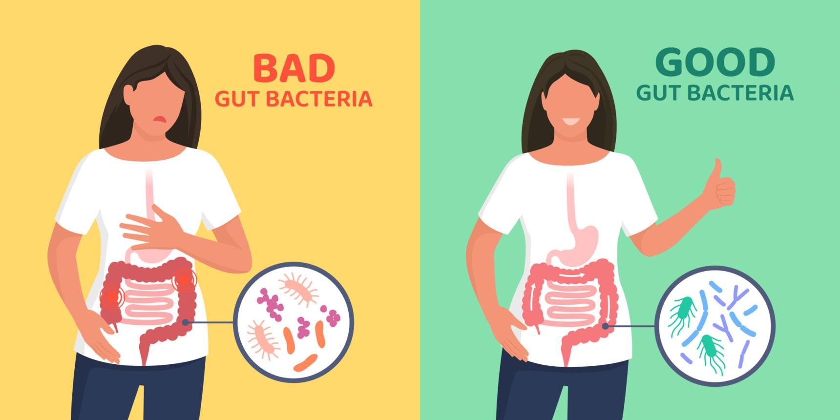 How Does Diabetes Affect the Gastrointestinal System?