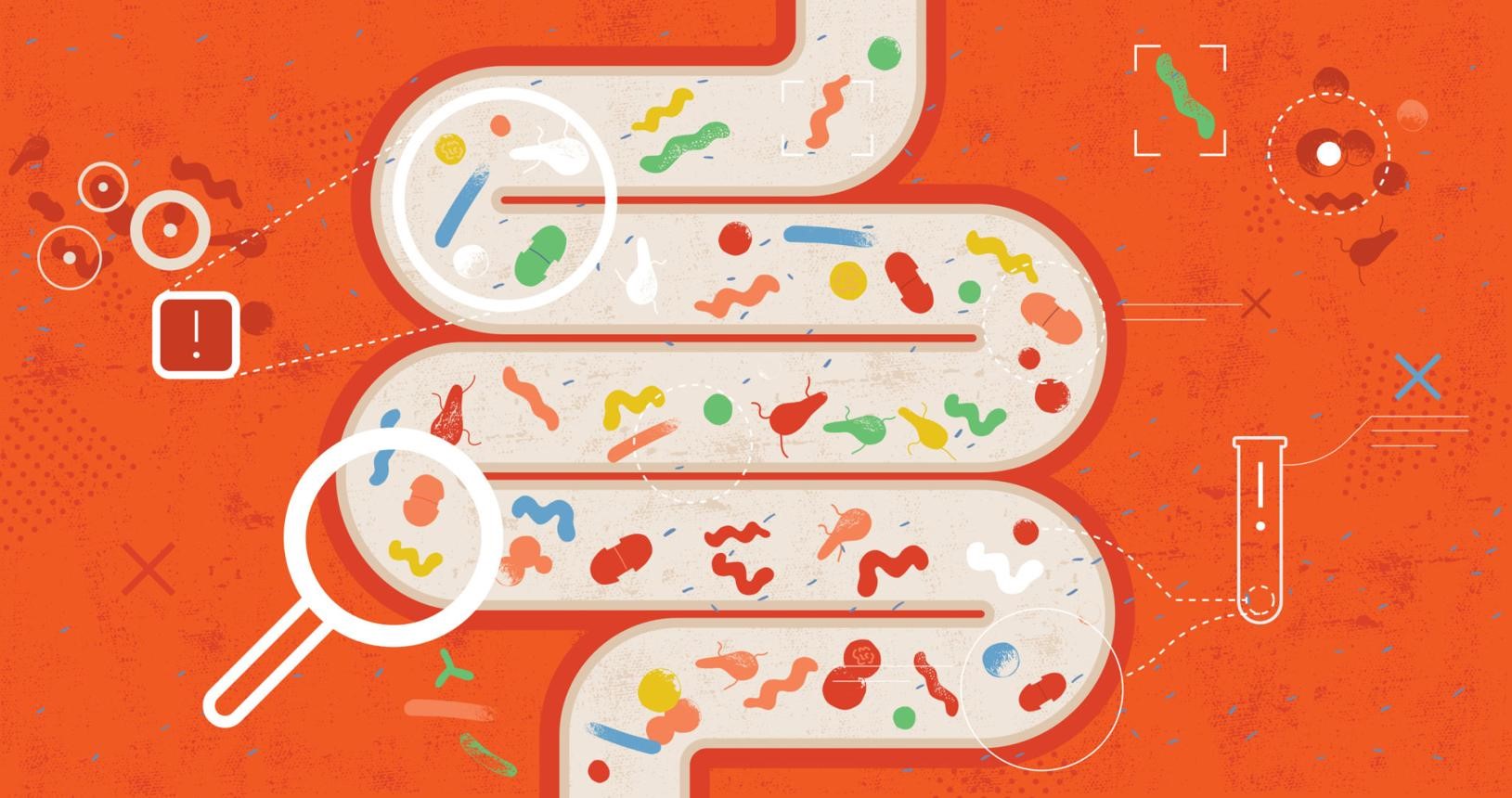 How Does Diabetes Affect the Gastrointestinal System?