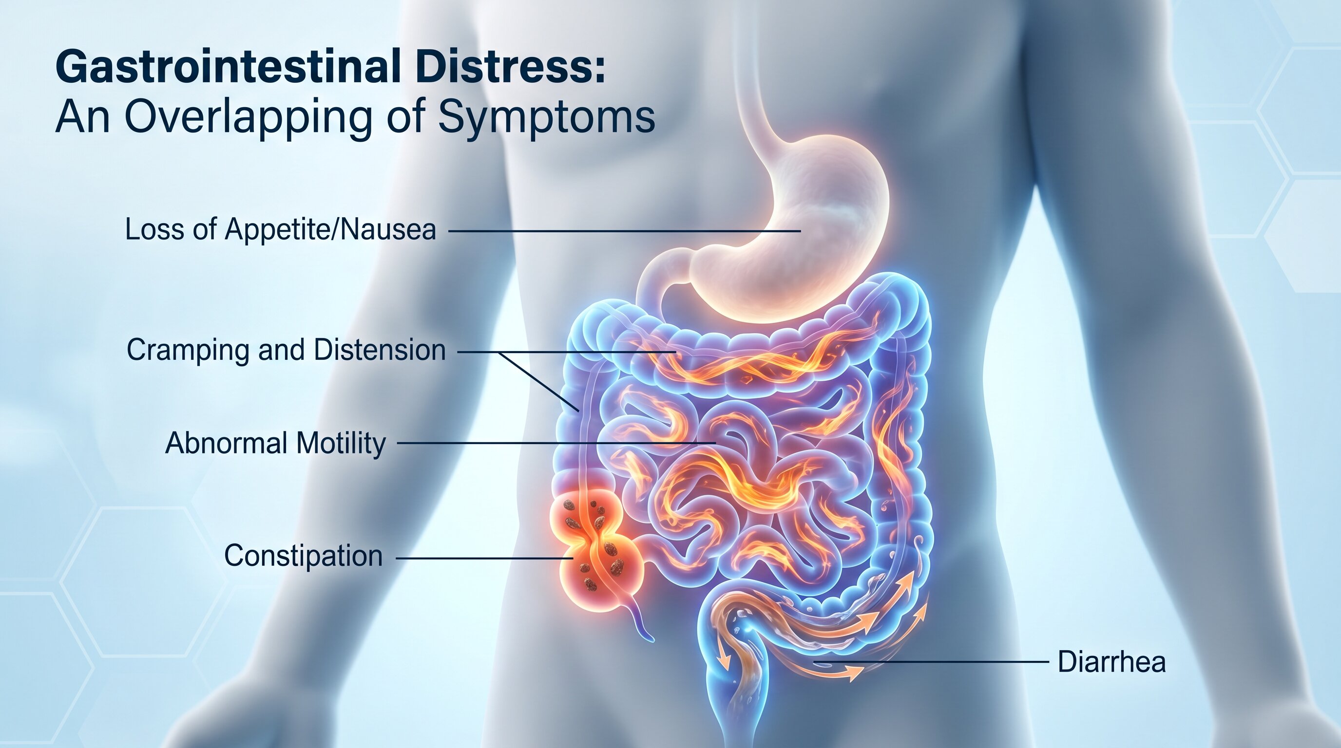 Loss of Appetite With Constipation or Diarrhea: What Your Bowel Changes May Mean