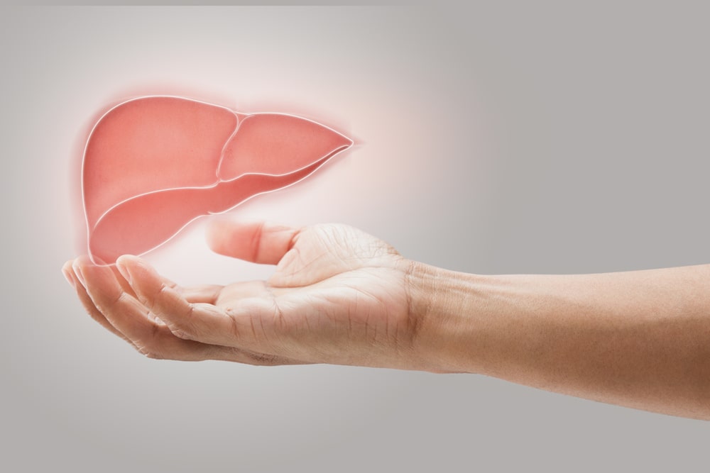 Steps to Maintain a Healthy Liver