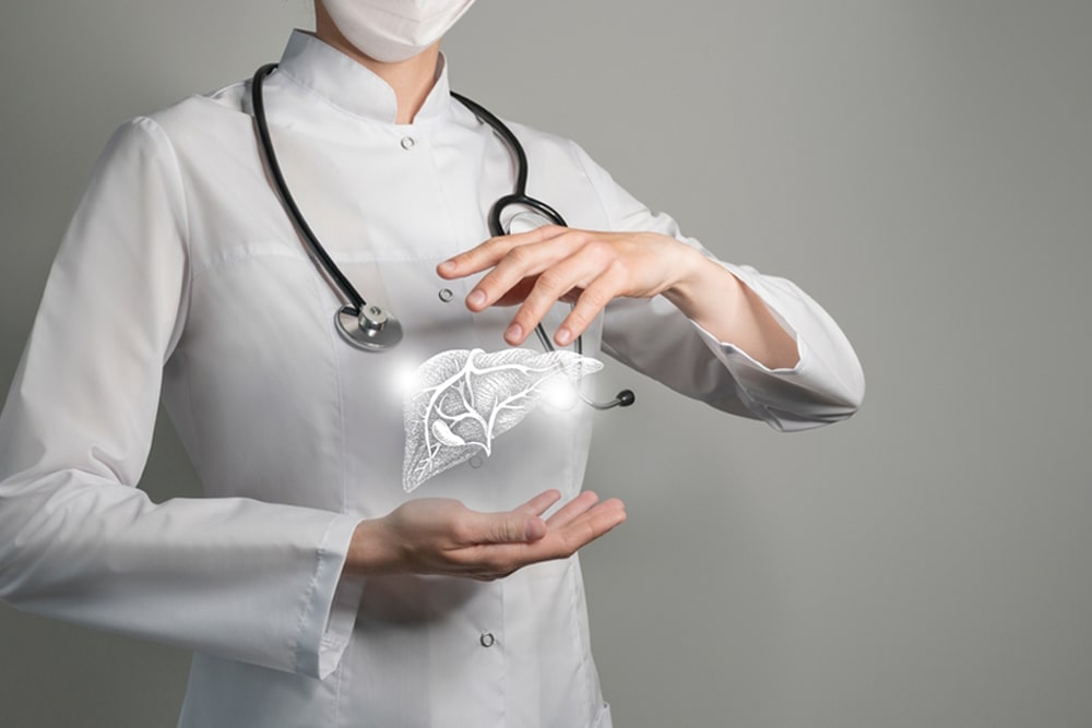 The Connection Between Liver Function and Digestive Health