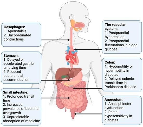 When to See a Gastroenterologist for Diabetes-Related GI Issues