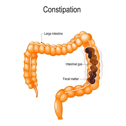 When to See a Gastroenterologist for Diabetes-Related GI Issues