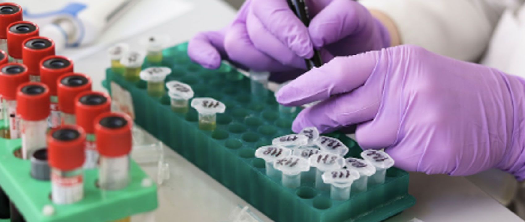 Clear and Comprehensive Diagnostics