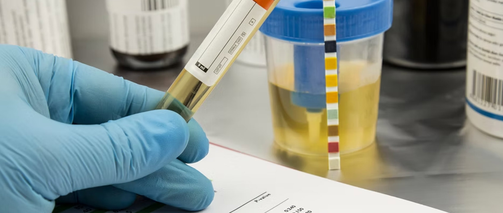 Rapid Labs