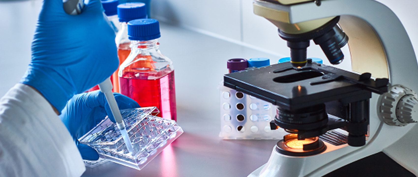 GENETX Laboratory LLC