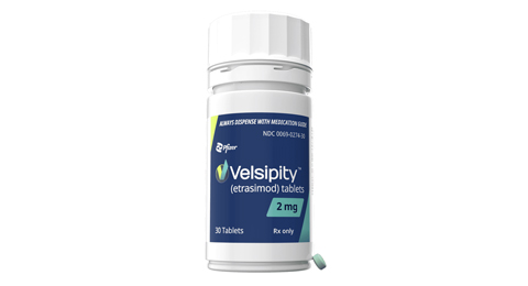 Velsipity